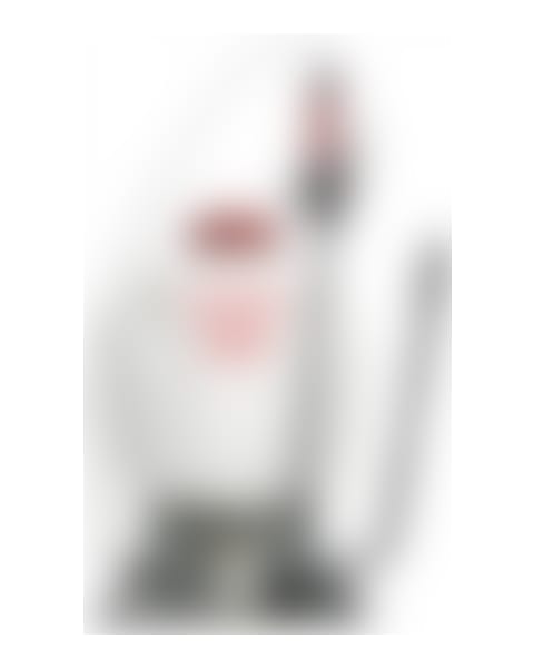 Chapin Pro Series 4 Gallon Backpack Sprayer -#61800