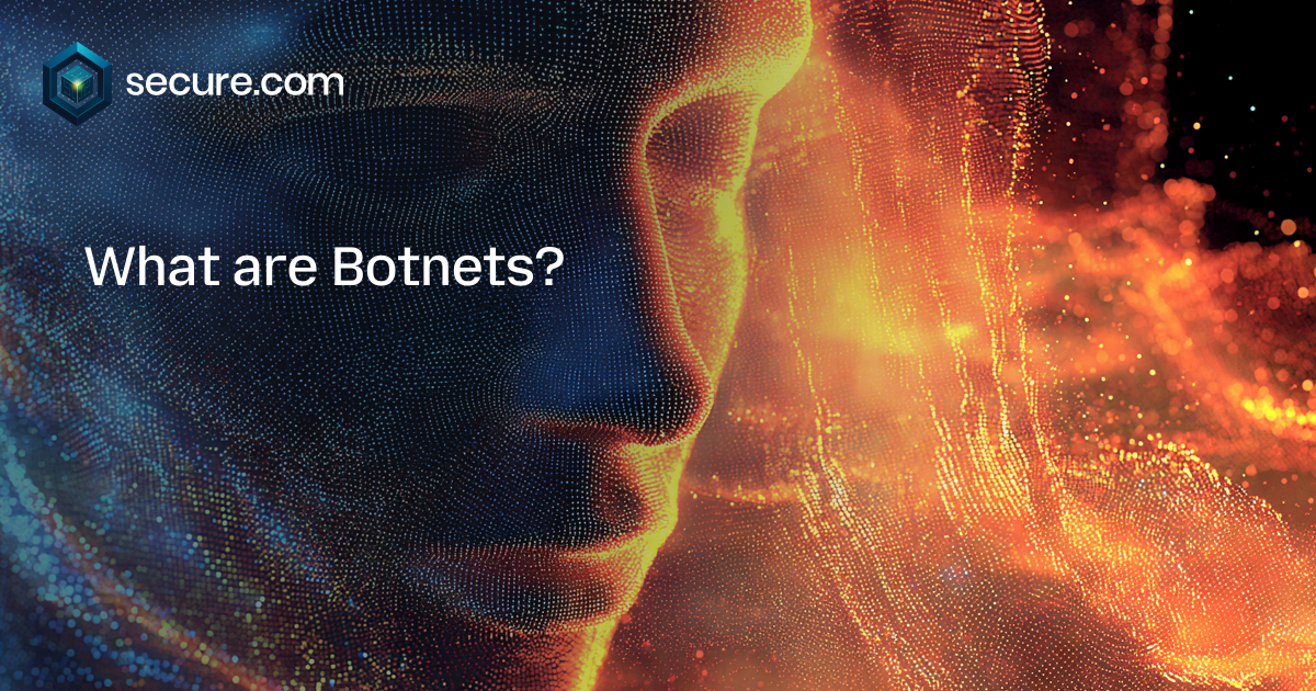 What are Botnets?