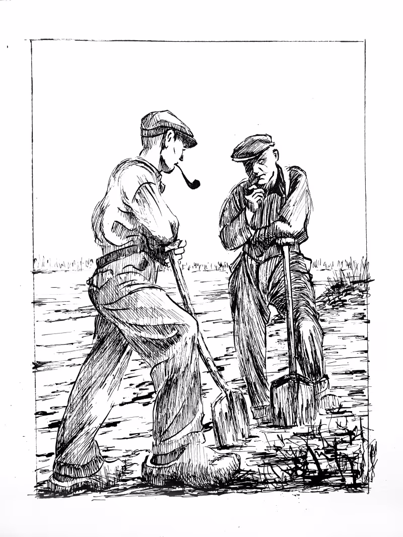 Les goémoniers