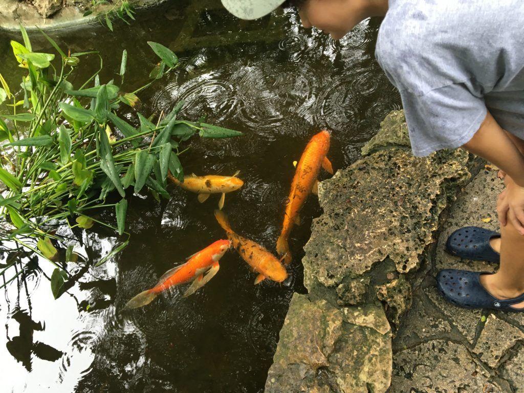 100 Things To Do At Zilker Park