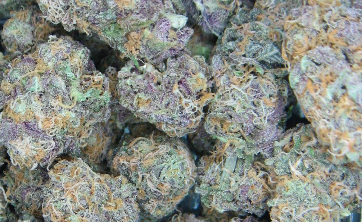 best-cannabis-strains