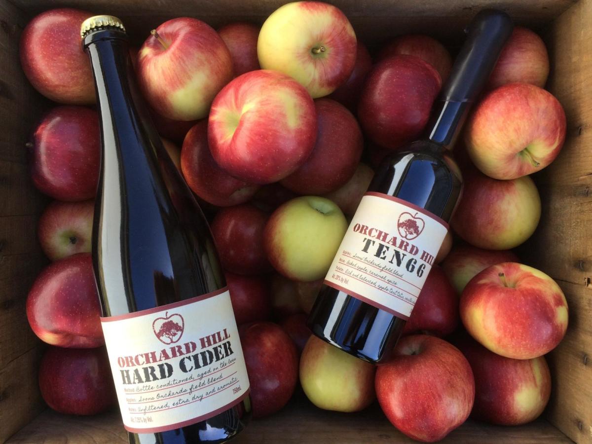 The Best Events of Cider Week NYC 2017