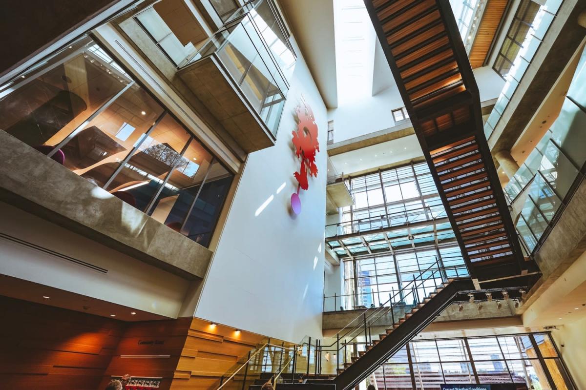 The New Central Library Austin