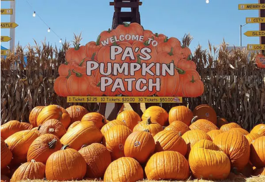 Guide To LA's Local Pumpkin Patches & Hayrides