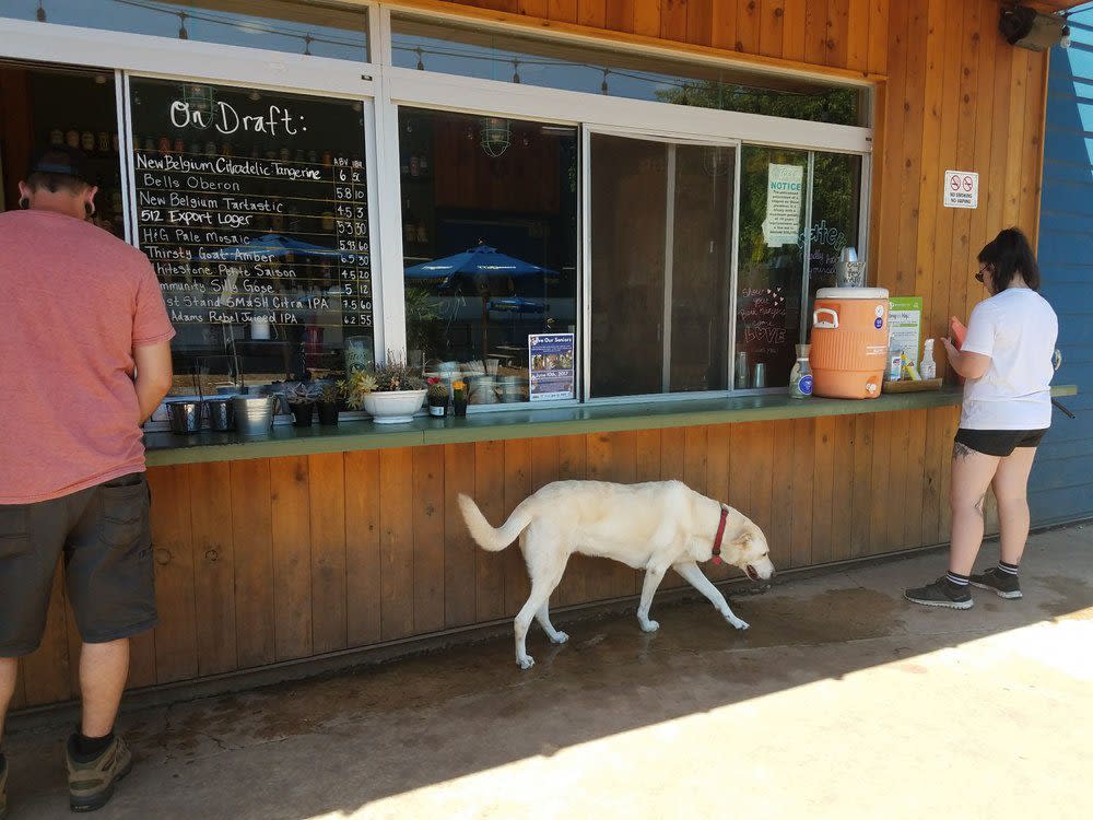 How to Celebrate a Birthday in Austin