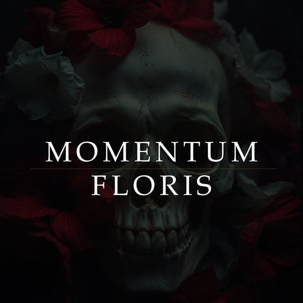 Momentum Floris II
