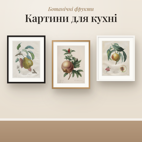 Картини для кухні: 12 ботанічних гравюр фруктів з музею для друку в рамку (A4–60×90)