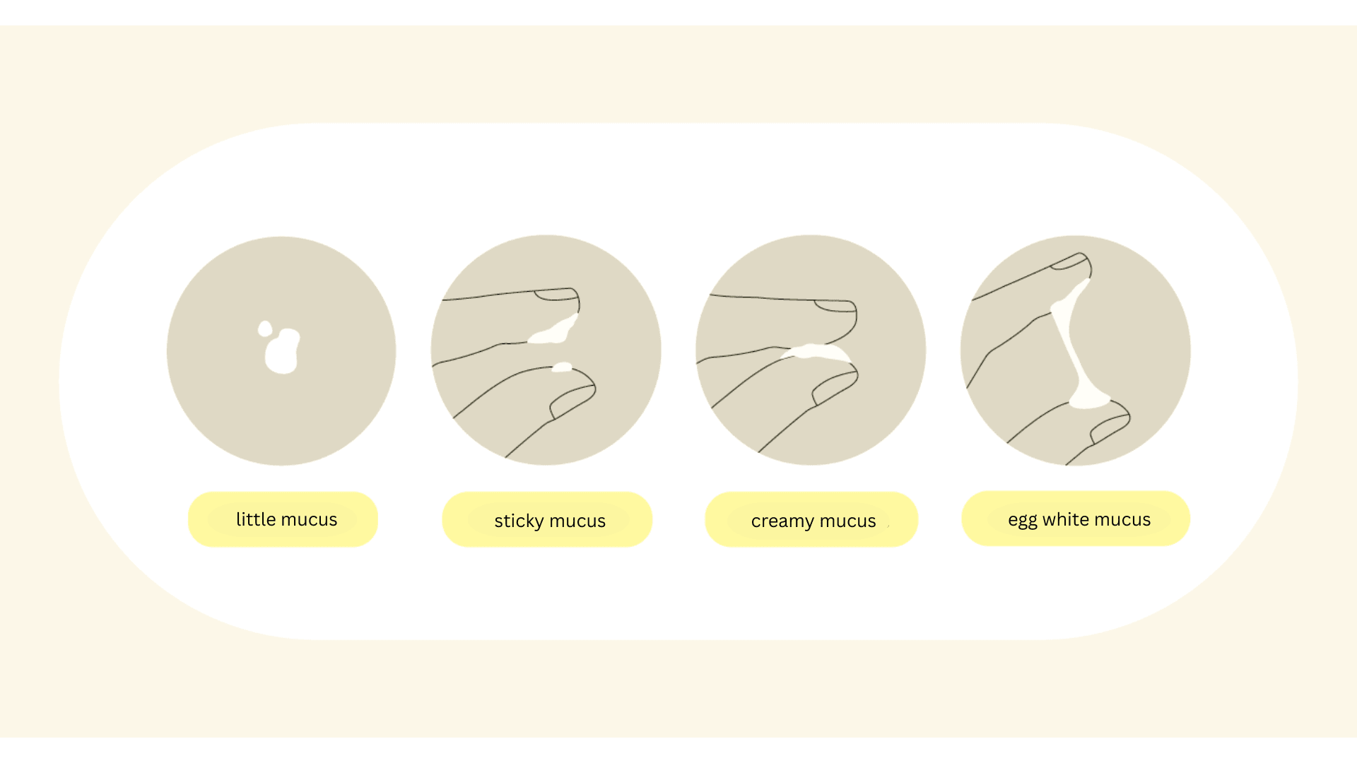 cervical mucus consistency