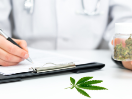 Arzt mit Stethoskop schreibt Rezept und hält Dose mit medizinischem Cannabis. Auf dem Tisch liegt ein Cannabisblatt – Symbolbild für Cannabis auf Rezept.