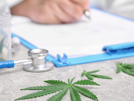 Nahaufnahme von Cannabisblättern, einem Stethoskop und einem Arzt, der im Hintergrund auf einem Klemmbrett schreibt – Symbolbild für medizinisches Cannabis und ärztliche Verschreibung.