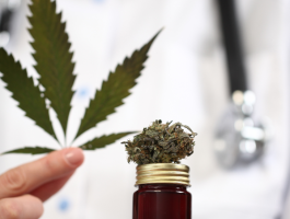 Arzt mit Stethoskop hält Cannabisblatt neben Glasflasche mit Cannabisblüte – Symbolbild für medizinisches Cannabis und ärztliche Verschreibung in Deutschland.