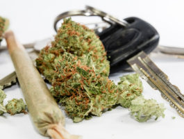 Cannabisblüten, ein Joint und Autoschlüssel auf weißem Hintergrund – Symbolbild für Cannabis im Straßenverkehr und die Frage der Fahrtüchtigkeit nach Cannabiskonsum.