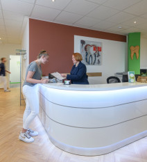 Henning Riße | Zahnarzt Westerkappeln, Westerkappeln, 3