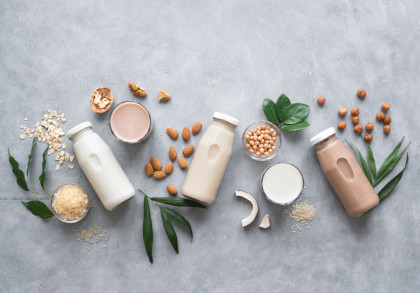Vier Flaschen pflanzliche Milch (Hafermilch, Kokosmilch, Mandelmilch, Sojamilch, Haselnussmilch) liegen auf einem grauen Untergrund.