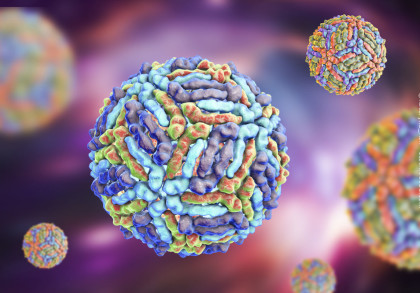 Mehrere vergrößerte, bunte Darstellungen von Viruspartikeln auf einem verschwommenen violetten Hintergrund. Die Virusoberflächen haben eine unregelmäßige Textur und sind in verschiedenen Farben wie Blau, Grün und Rot dargestellt.