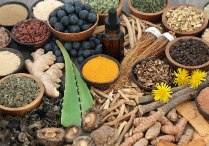 In dem Bild sind verschiedene Naturprodukte und Zutaten zu sehen, die in Schalen und Schüsseln arrangiert sind. Darunter befinden sich Blaubeeren, getrocknete Kräuter, Pulver, Wurzeln, Ingwer, Aloe Vera Blätter, Gewürze und einige gelbe Blüten.