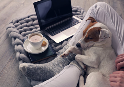 Ein kleiner Hund schläft gemütlich auf dem Schoß einer Person, die auf einem grauen, gestrickten Teppich sitzt. Neben ihnen steht ein Laptop. Vor dem Laptop steht eine Tasse heißer Schokolade oder Kaffee auf einem Buch, begleitet von einem kleinen Keks.