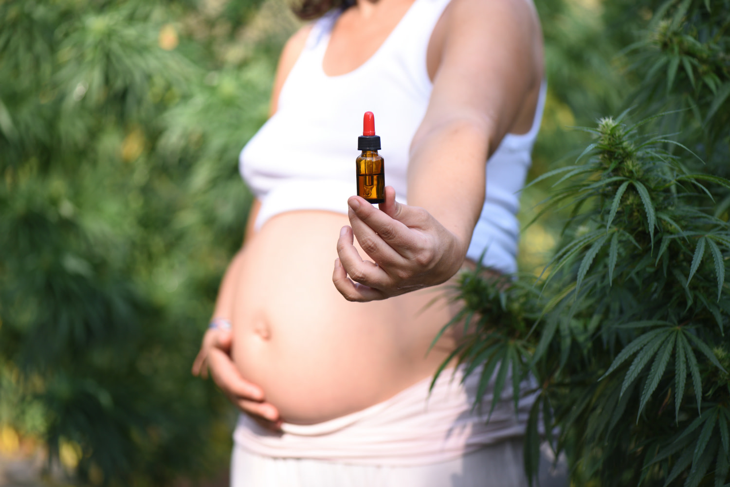 CBD Öl könnte in der Schwangerschaft Beschwerden lindern.
