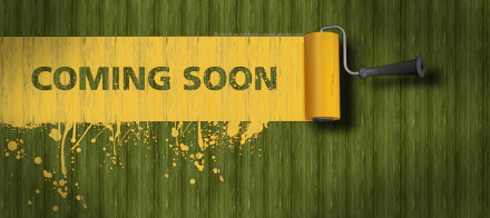 Ein gelber Farbroller malt ein "COMING SOON"-Zeichen auf einen grünen Holzhintergrund. Der Text erscheint auf einem gelben Streifen mit Farbklecksen am Rand. Der Farbroller befindet sich auf der rechten Seite des Bildes.