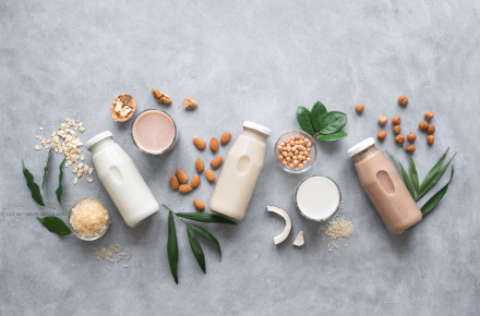 Vier Flaschen pflanzliche Milch (Hafermilch, Kokosmilch, Mandelmilch, Sojamilch, Haselnussmilch) liegen auf einem grauen Untergrund.