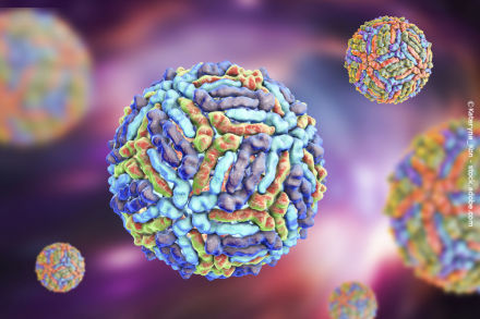 Mehrere vergrößerte, bunte Darstellungen von Viruspartikeln auf einem verschwommenen violetten Hintergrund. Die Virusoberflächen haben eine unregelmäßige Textur und sind in verschiedenen Farben wie Blau, Grün und Rot dargestellt.