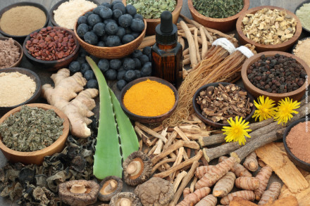 In dem Bild sind verschiedene Naturprodukte und Zutaten zu sehen, die in Schalen und Schüsseln arrangiert sind. Darunter befinden sich Blaubeeren, getrocknete Kräuter, Pulver, Wurzeln, Ingwer, Aloe Vera Blätter, Gewürze und einige gelbe Blüten.