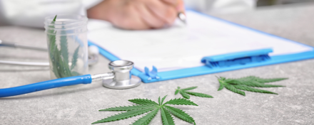 Nahaufnahme von Cannabisblättern, einem Stethoskop und einem Arzt, der im Hintergrund auf einem Klemmbrett schreibt – Symbolbild für medizinisches Cannabis und ärztliche Verschreibung.
