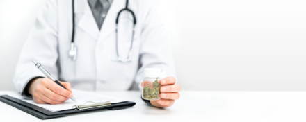Arzt mit Stethoskop hält ein Glas mit medizinischen Cannabisblüten und schreibt auf einem Klemmbrett eine Verordnung – Symbolbild für Cannabis auf Rezept und ärztlich begleitete Therapie.