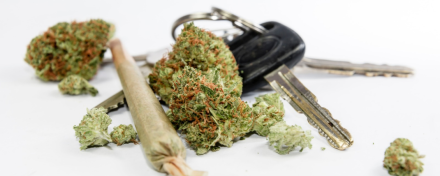 Cannabisblüten, ein Joint und Autoschlüssel auf weißem Hintergrund – Symbolbild für Cannabis im Straßenverkehr und die Frage der Fahrtüchtigkeit nach Cannabiskonsum.