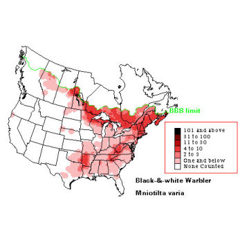 Black-and-white Warbler distribution map