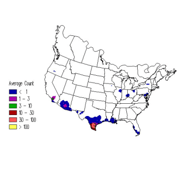 Bronzed Cowbird winter distribution map