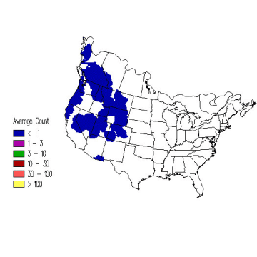 Dusky Grouse winter distribution map