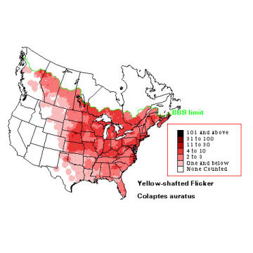 Northern Flicker distribution map