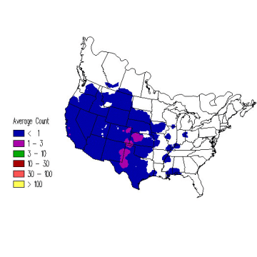 Ferruginous Hawk winter distribution map