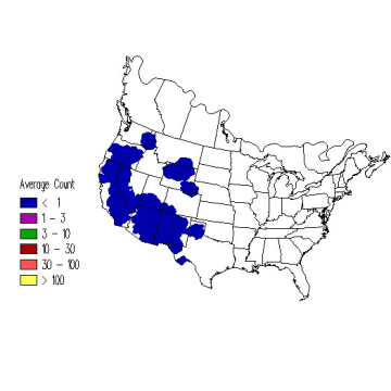 Williamson's Sapsucker winter distribution map