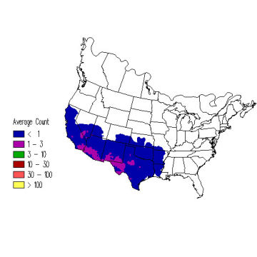 Greater Roadrunner winter distribution map