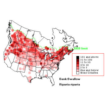 Bank Swallow distribution map