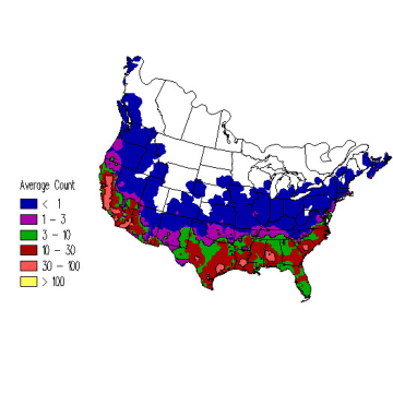 Savannah Sparrow winter distribution map