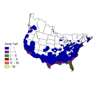 Common Yellowthroat winter distribution map