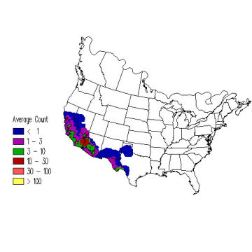 White-throated Swift winter distribution map