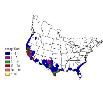 Long-billed Curlew winter distribution map