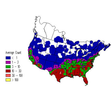 Northern Mockingbird winter distribution map