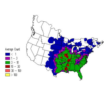 Red-bellied Woodpecker winter distribution map