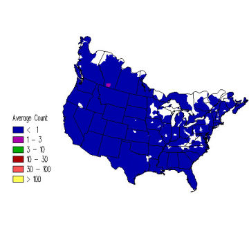 Merlin winter distribution map