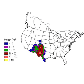 Scaled Quail winter distribution map