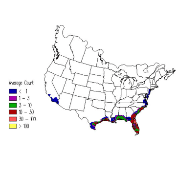 Black Skimmer winter distribution map