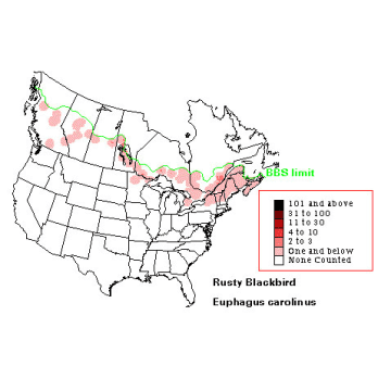 Rusty Blackbird distribution map
