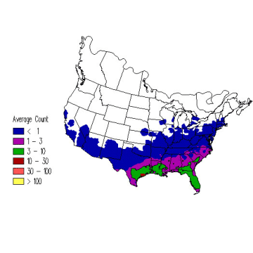 Eastern Phoebe winter distribution map