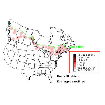 Rusty Blackbird distribution map