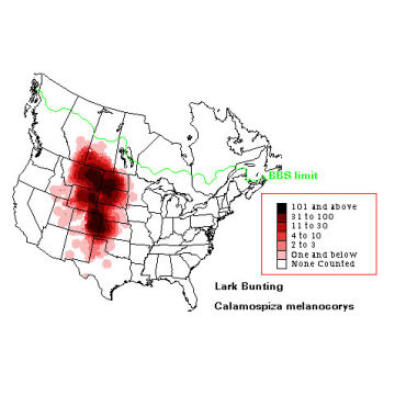 Lark Bunting distribution map